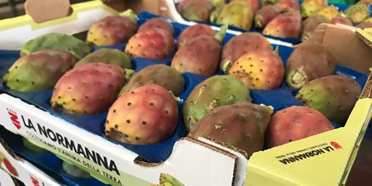 «Fichi d'india, il calo dei consumi si è sentito»